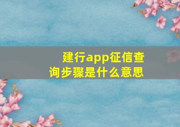 建行app征信查询步骤是什么意思