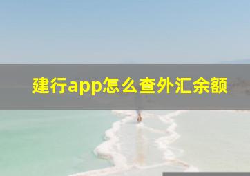 建行app怎么查外汇余额