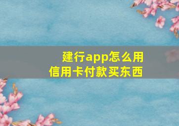 建行app怎么用信用卡付款买东西