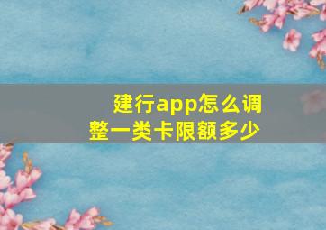 建行app怎么调整一类卡限额多少