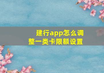 建行app怎么调整一类卡限额设置