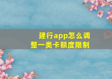 建行app怎么调整一类卡额度限制