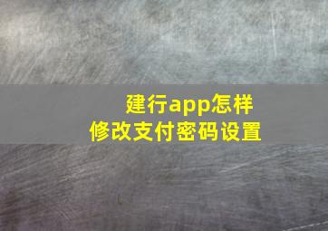 建行app怎样修改支付密码设置