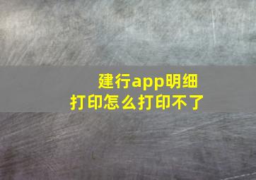 建行app明细打印怎么打印不了