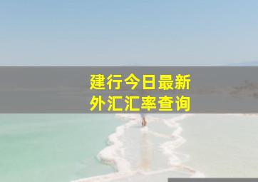 建行今日最新外汇汇率查询