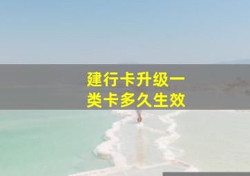 建行卡升级一类卡多久生效