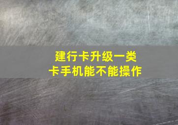 建行卡升级一类卡手机能不能操作