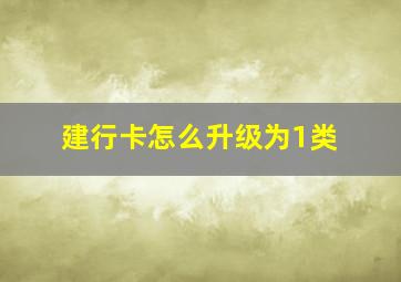 建行卡怎么升级为1类