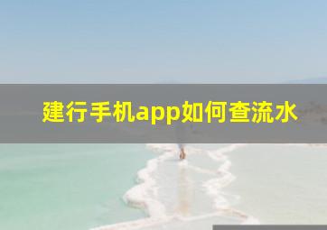 建行手机app如何查流水