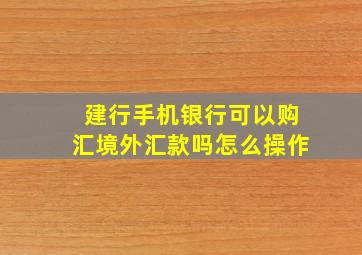 建行手机银行可以购汇境外汇款吗怎么操作