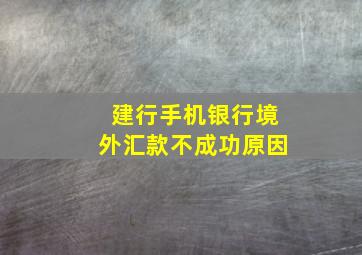 建行手机银行境外汇款不成功原因