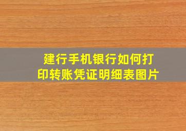 建行手机银行如何打印转账凭证明细表图片