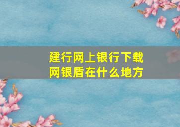 建行网上银行下载网银盾在什么地方