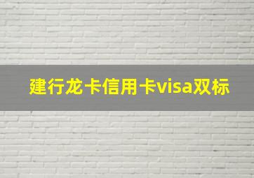 建行龙卡信用卡visa双标