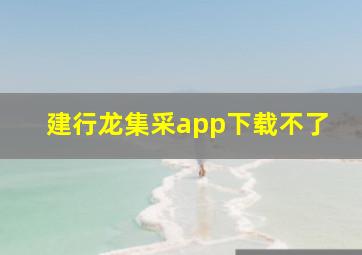 建行龙集采app下载不了