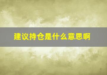 建议持仓是什么意思啊