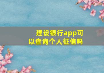 建设银行app可以查询个人征信吗