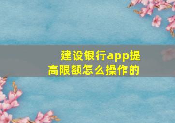 建设银行app提高限额怎么操作的