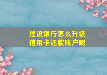 建设银行怎么升级信用卡还款账户呢