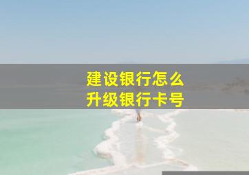 建设银行怎么升级银行卡号