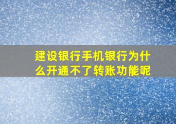 建设银行手机银行为什么开通不了转账功能呢