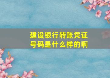 建设银行转账凭证号码是什么样的啊