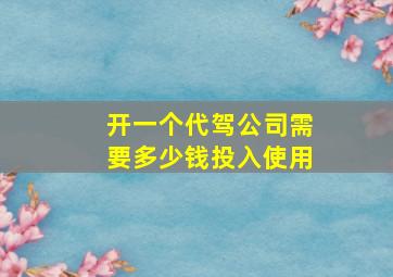 开一个代驾公司需要多少钱投入使用