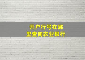 开户行号在哪里查询农业银行