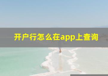 开户行怎么在app上查询