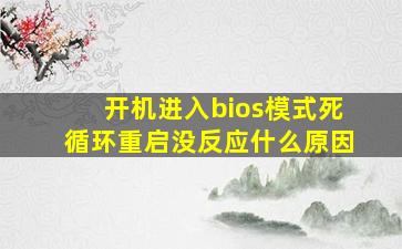 开机进入bios模式死循环重启没反应什么原因