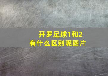 开罗足球1和2有什么区别呢图片