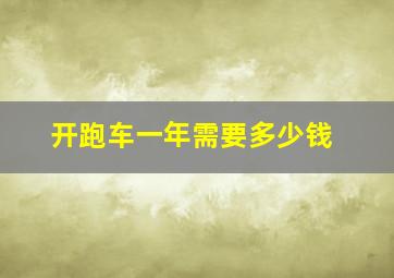 开跑车一年需要多少钱