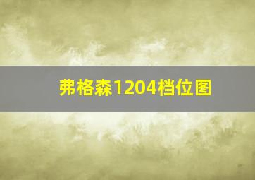 弗格森1204档位图