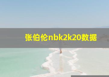 张伯伦nbk2k20数据