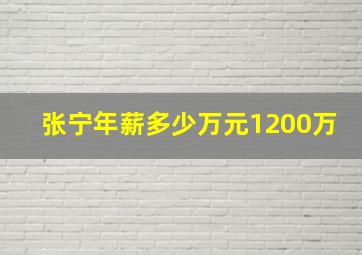 张宁年薪多少万元1200万