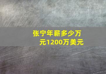 张宁年薪多少万元1200万美元