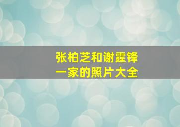 张柏芝和谢霆锋一家的照片大全