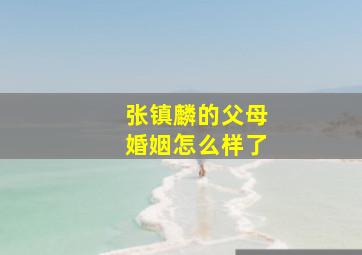 张镇麟的父母婚姻怎么样了