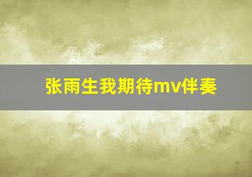 张雨生我期待mv伴奏