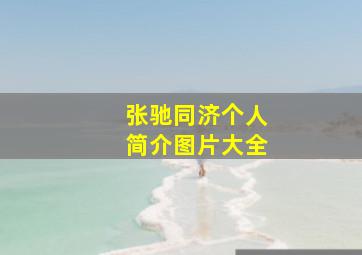 张驰同济个人简介图片大全