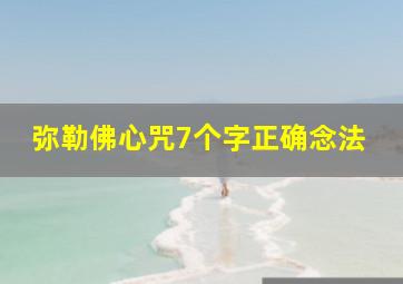 弥勒佛心咒7个字正确念法