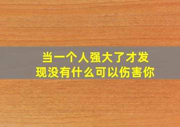 当一个人强大了才发现没有什么可以伤害你