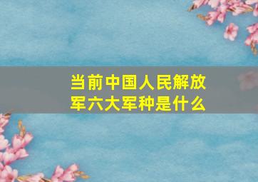 当前中国人民解放军六大军种是什么