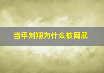 当年刘翔为什么被网暴