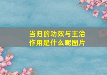 当归的功效与主治作用是什么呢图片