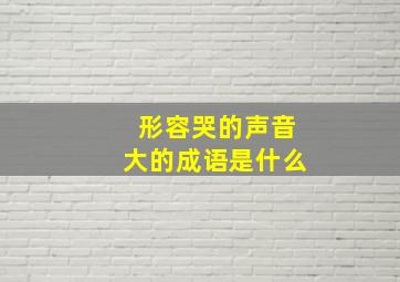 形容哭的声音大的成语是什么