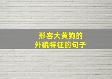 形容大黄狗的外貌特征的句子