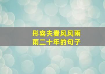 形容夫妻风风雨雨二十年的句子