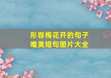 形容梅花开的句子唯美短句图片大全