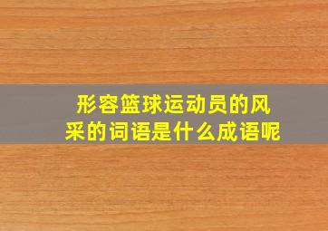 形容篮球运动员的风采的词语是什么成语呢